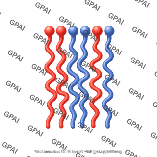 Polymersome monomers