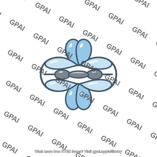 Carbon carbon triple bond orbital view