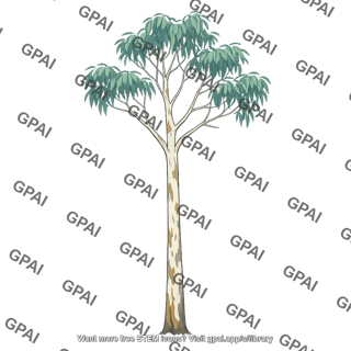 Eucalyptus tree
