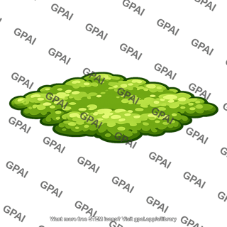 Floating algae