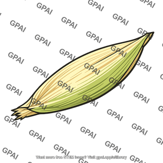 Oat grain