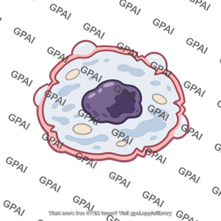 Damaged animal cell