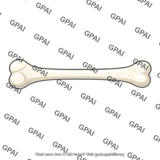 Bone