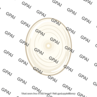Starch granule