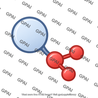 Methylation 2 667