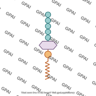Peptidoglycan synthesis early stage 1