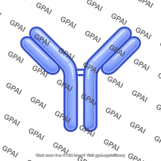 Antibody