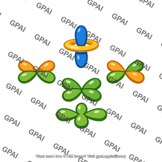 Octahedral crystal field d orbitals