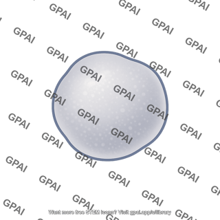 Colloidal particle