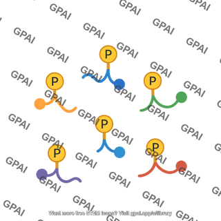 Tagged peptides phosphorylated