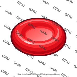 Red blood cell