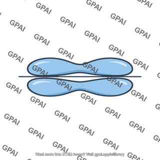 Pi 2p bonding molecular orbital