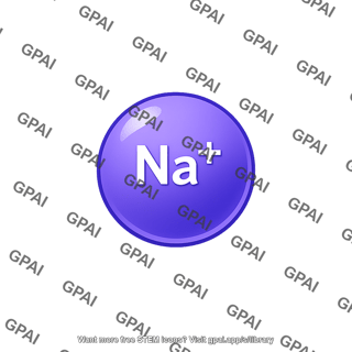 Sodium ion named
