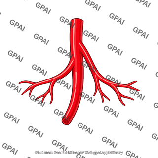 Subsurface blood vessel