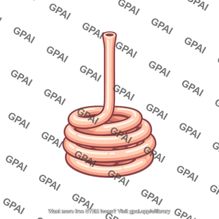 Sweat gland
