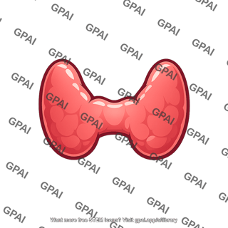 Thyroid gland