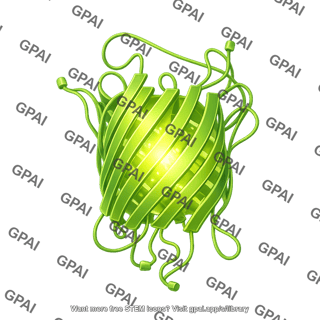 Generic fluorescent protein