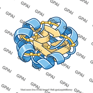 Protein ribbon diagram