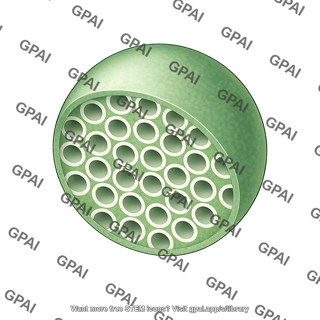Mesoporous nanoparticle cross section