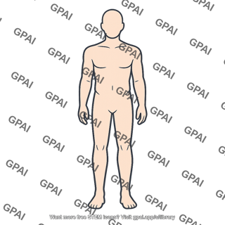 Human body