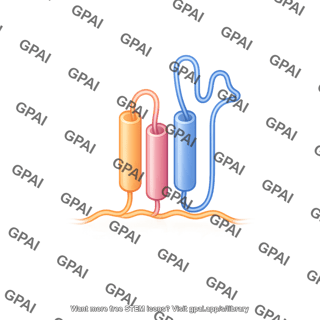 Protein motif