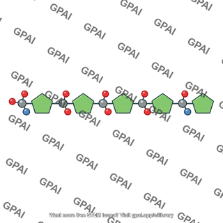 Sugar phosphate backbone