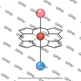 Heme structure with ions