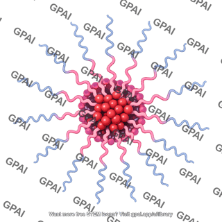 Drug loaded polymeric micelle 134