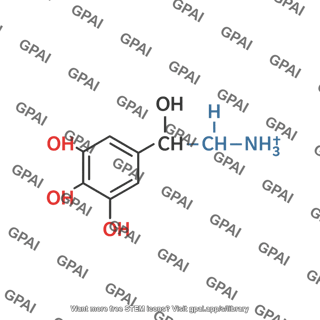 Norepinephrine