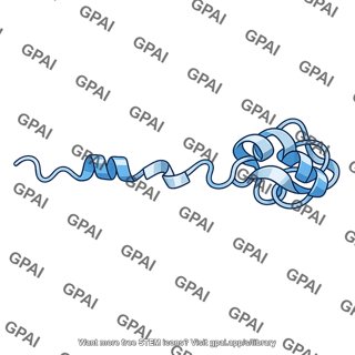 Protein folding