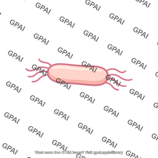 Rod shaped bacterium