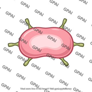 Stylized pink oval with protrusions