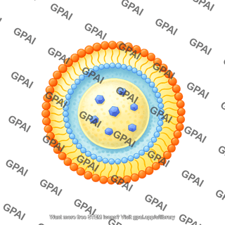 W o w multilayer nanoemulsion