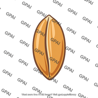 Wheat grain