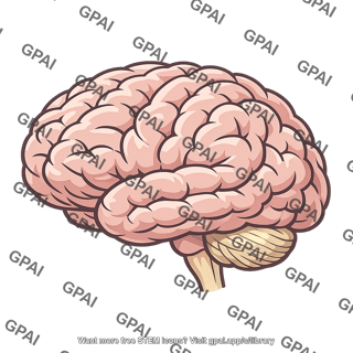 Brain