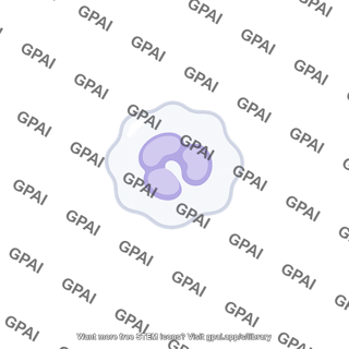 White blood cell
