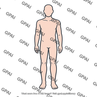 Human