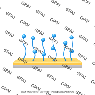 Spr sensor chip cm5