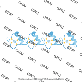 Zinc finger array