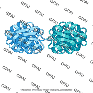 Lactoferrin