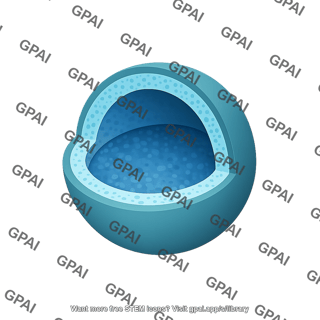 Nanocapsule