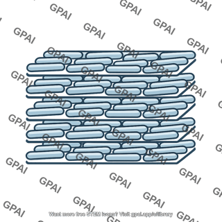 Smectic liquid crystal phase