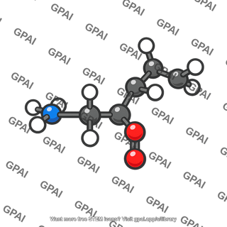 Leucine