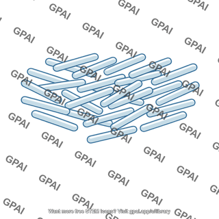 Liquid crystal nematic