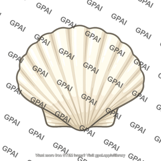 Seashell