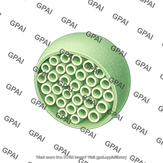 Mesoporous nanoparticle