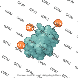Methylated protein