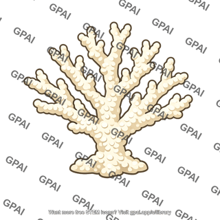 Coral