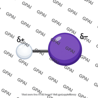 Hi molecule polar