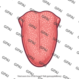 Tongue